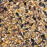 Scratch Grains with Oat & Sunflower 50# THOMAS MOORE FEED