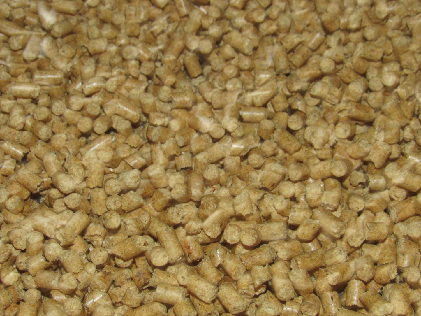 BEDDING PELLETS PINE 40# QUEEN HORSE BEDDING