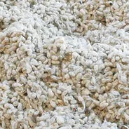 Thomas Moore Whole Cottonseed 40#