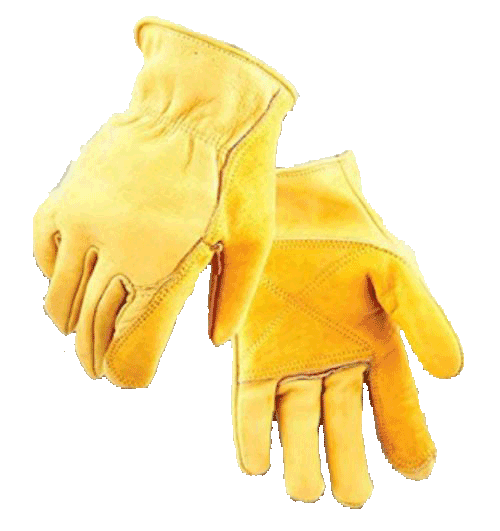 Golden Stag 207M Gloves M Cowhide Leather Driver Gold