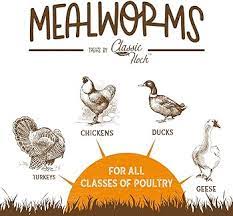 CLASSIC FLOCK MEALWORMS 30 OZ.