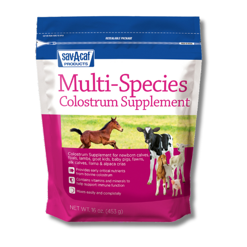 Sav-A-Caf® Multi-Species Colostrum Supplement (16oz)