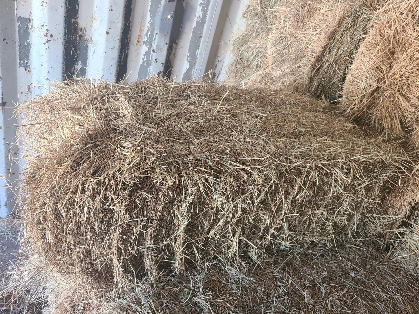 HAY COASTAL BALE SQUARE