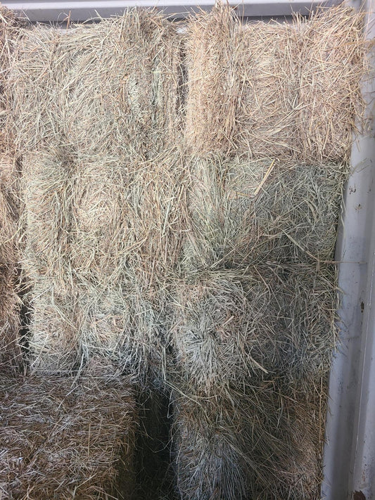 HAY COASTAL BALE SQUARE