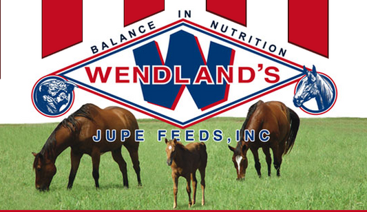 GAME BIRD DEVELOPER NON-MED 24% 50# - WENDLAND'S FEED