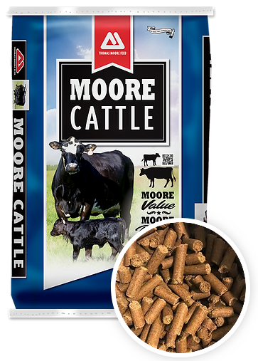 20% CATTLE CUBE 50# - THOMAS MOORE FEED