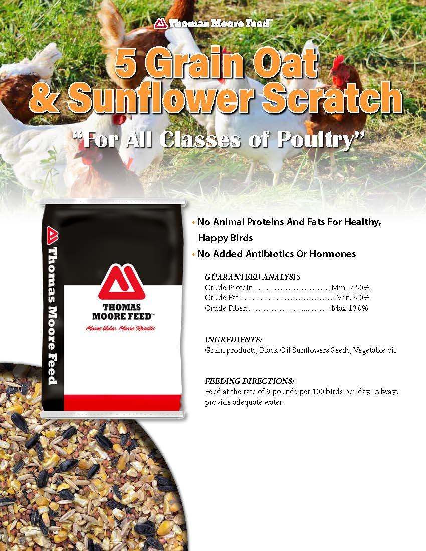 Scratch Grains with Oat & Sunflower 50# THOMAS MOORE FEED