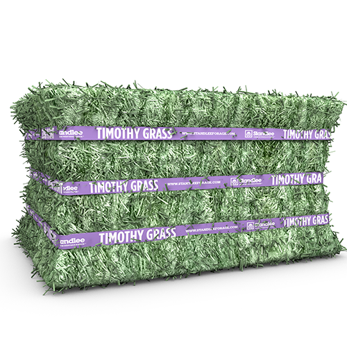 Premium Timothy Grab & Go Compressed Bale - 50 lb