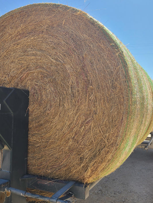 HAY ROUND BALE CATTLE 5X6 1400#-1500#