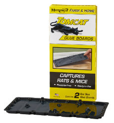 TOMCAT Rat Size Mouse Glue Traps (2-Pack) 631042